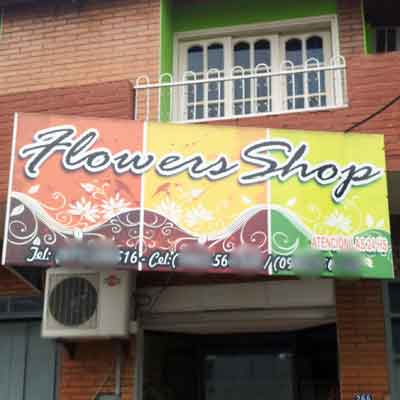 Flowers-Shop